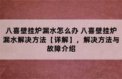 八喜壁挂炉漏水怎么办 八喜壁挂炉漏水解决方法【详解】，解决方法与故障介绍